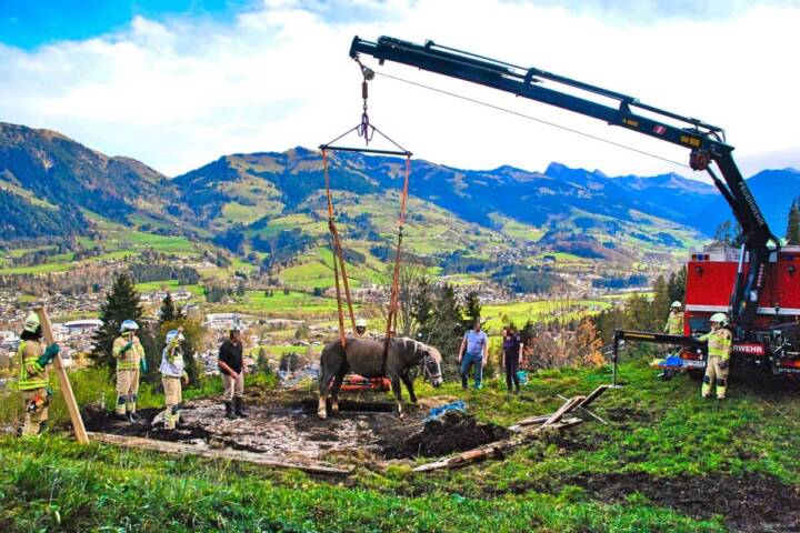 Stadtfeuerwehr Kitzbühel: Pferd in Jauchengrube gestürzt