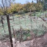 Erdrutsch in Millstatt