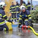 Branddienstleistungsprüfung in Seiz