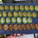 Branddienstleistungsprüfung in Seiz