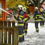 Branddienstleistungsprüfung in Seiz