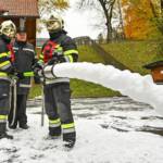 Branddienstleistungsprüfung in Seiz