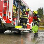 Branddienstleistungsprüfung in Seiz
