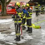 Branddienstleistungsprüfung in Seiz