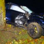 Bezirk Neunkirchen: PKW gegen Baum in Ternitz