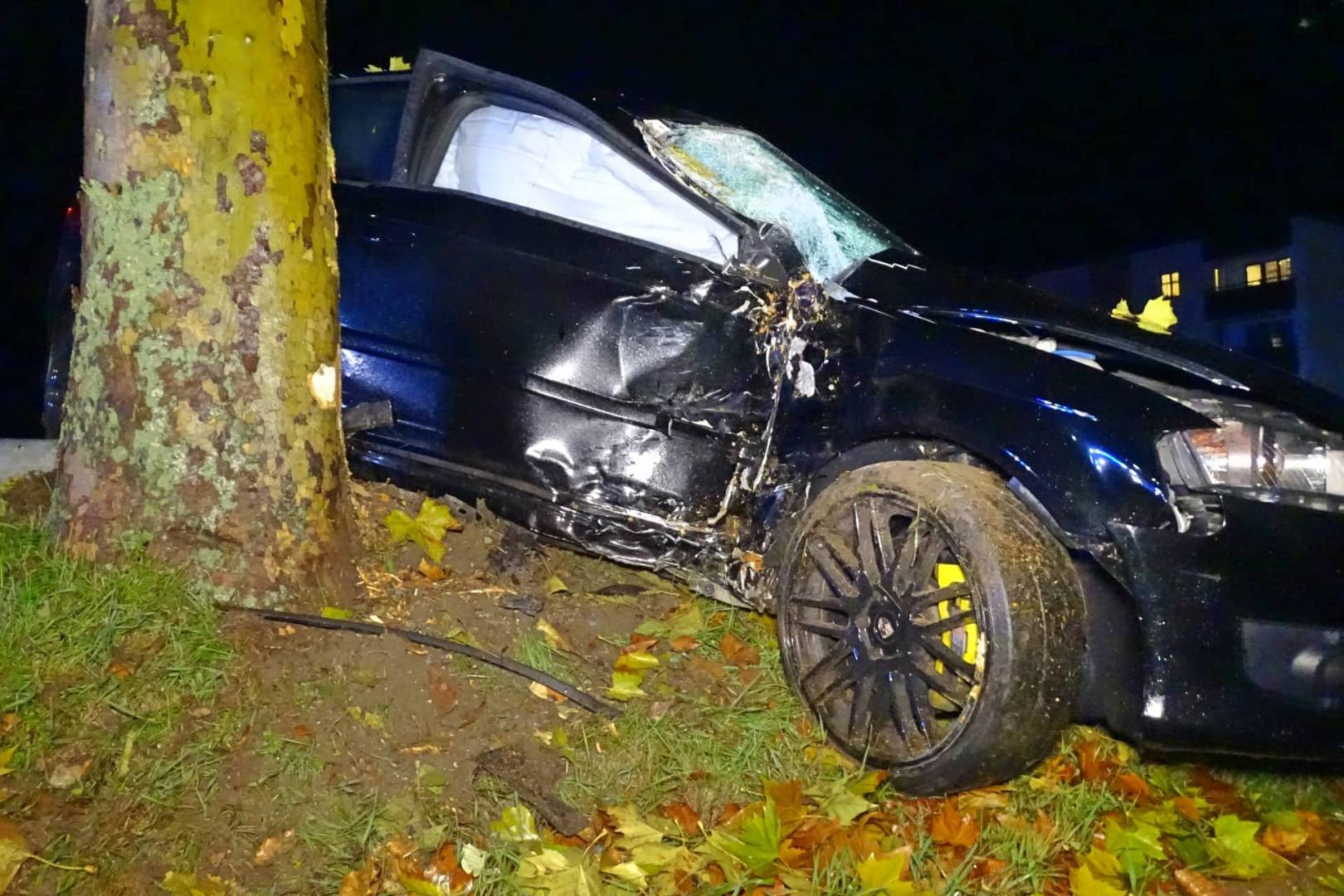 Bezirk Neunkirchen: PKW gegen Baum in Ternitz