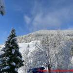 LKW-Bergung der FF Bad Kleinkirchheim