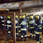 Eingestürztes Stallgebäude