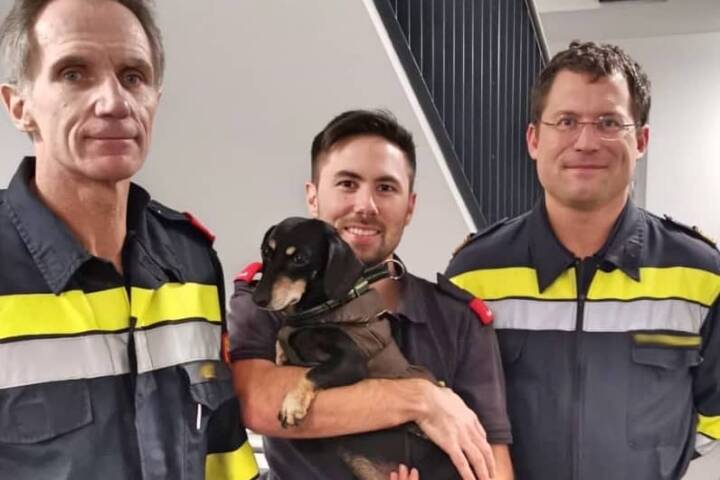 FF Klosterneuburg: Dame und Hund aus Aufzug befreit
