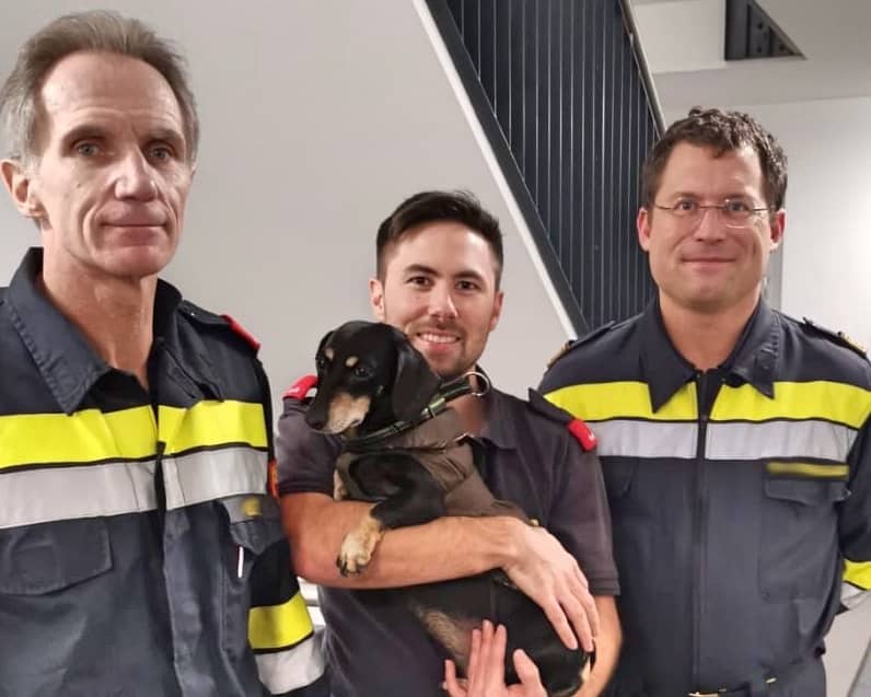 FF Klosterneuburg: Dame und Hund aus Aufzug befreit