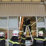 PKW-Lenkerin kracht in Tierhandlung