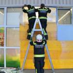 PKW-Lenkerin kracht in Tierhandlung