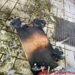 Brand einer Destillerie – Bad Kleinkirchheim