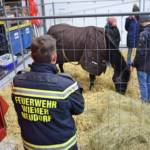 Auszeichnungen durch den Wiener Tierschutzverein