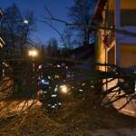 FF Kremsmünster: Baum in Stromleitung