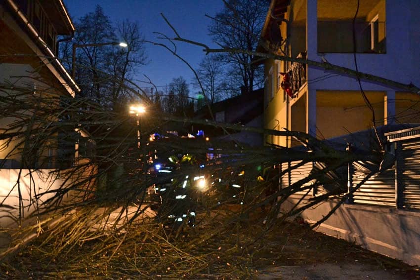 FF Kremsmünster: Baum in Stromleitung