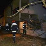 Sturmschaden - Baum in Stromleitung