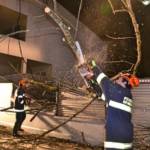 Sturmschaden - Baum in Stromleitung