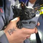 Jahresrückblick 2019 der Feuerwehr Ebenfurth