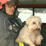 Frontalkollision auf der B320 fordert 3 Verletzte