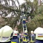 FF Klosterneuburg: Zwei Einsätze am 06. Jänner