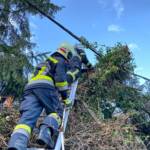 Zwei Einsätze am 06. Jänner