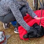 HFW Villach: Hundehalterin aus Silbersee gerettet