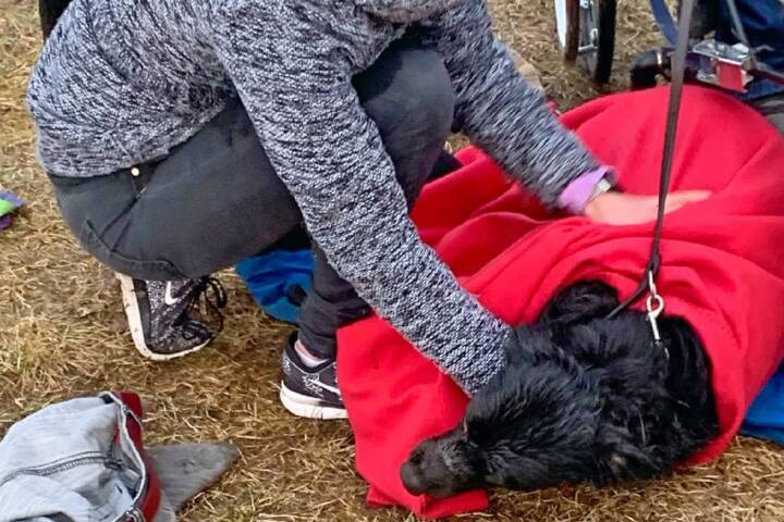 HFW Villach: Hundehalterin aus Silbersee gerettet