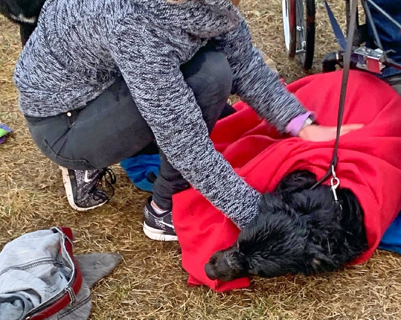 HFW Villach: Hundehalterin aus Silbersee gerettet
