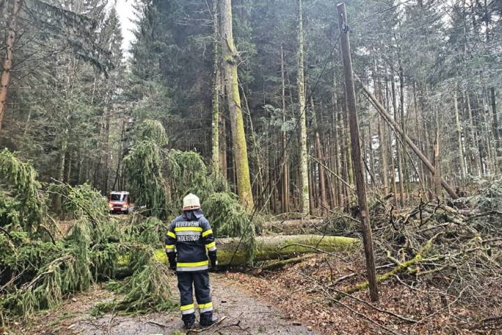BFV Deutschlandsberg: Zahlreiche Sturmeinsätze im Bereich