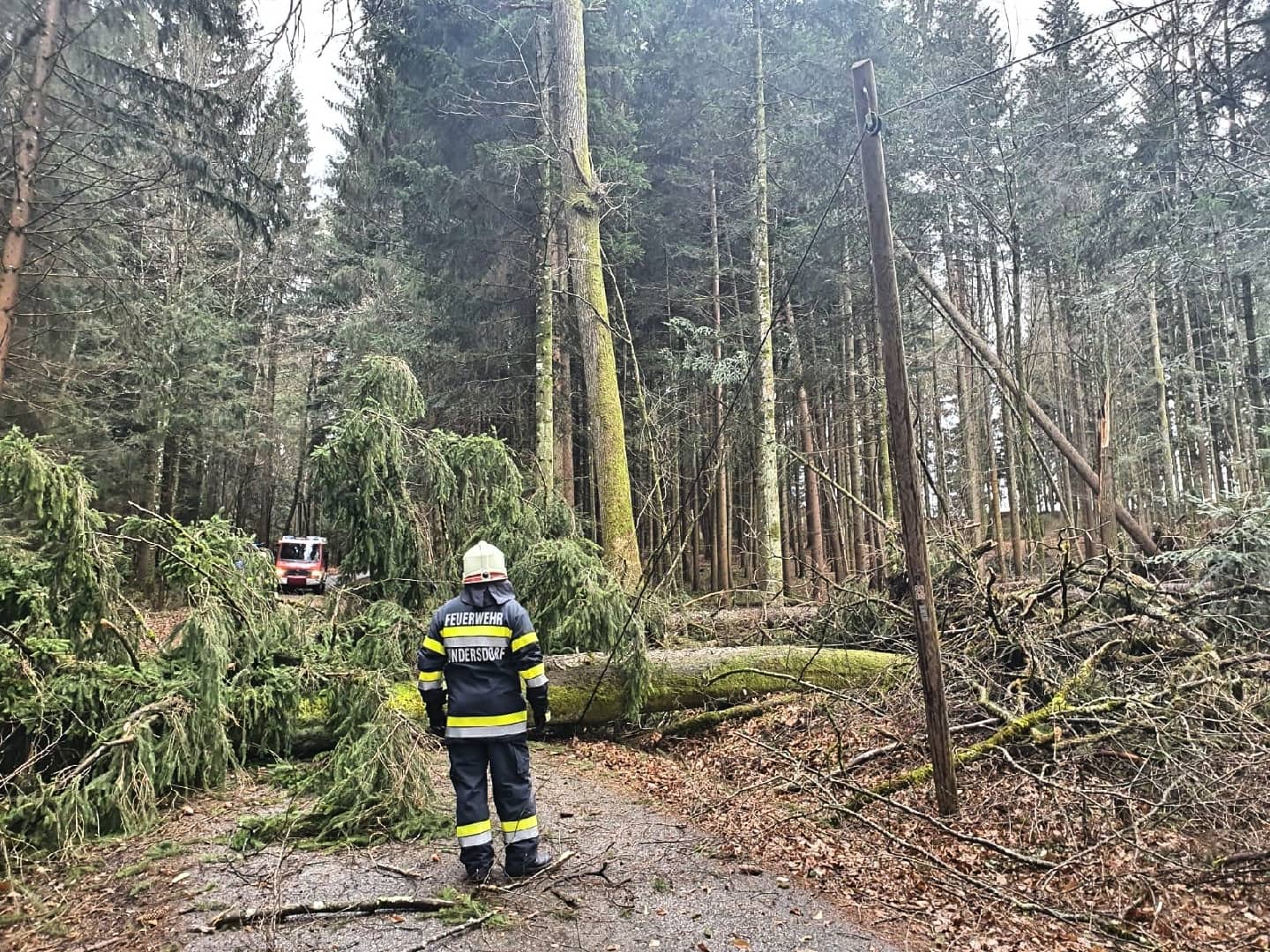 BFV Deutschlandsberg: Zahlreiche Sturmeinsätze im Bereich
