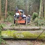 Zahlreiche Sturmeinsätze im Bereich Deutschlandsberg