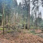 Zahlreiche Sturmeinsätze im Bereich Deutschlandsberg