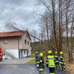 Zahlreiche Sturmeinsätze im Bereich Deutschlandsberg