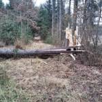 Zahlreiche Sturmeinsätze im Bereich Deutschlandsberg