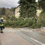 Mehrere Sturmeinsätze im Stadtgebiet