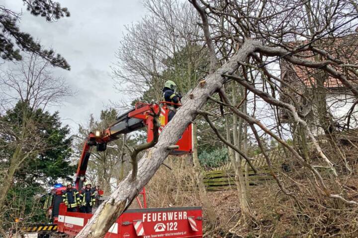 FF Klosterneuburg: Mehrere Sturmeinsätze im Stadtgebiet