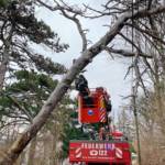 Mehrere Sturmeinsätze im Stadtgebiet