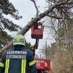 Mehrere Sturmeinsätze im Stadtgebiet
