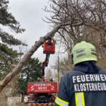 Mehrere Sturmeinsätze im Stadtgebiet