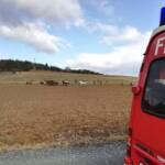 BFKDO Jennersdorf: Sturmschaden in Poppendorf