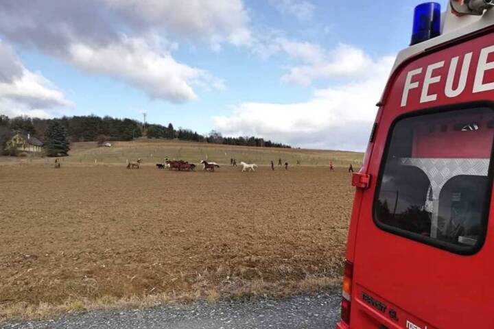 BFKDO Jennersdorf: Sturmschaden in Poppendorf