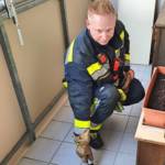 Küchenbrand mit Menschenrettung