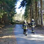Sturmtief Sabine sorgt für Reihe von Feuerwehreinsätzen