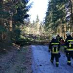 Sturmtief Sabine sorgt für Reihe von Feuerwehreinsätzen