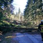 Sturmtief Sabine sorgt für Reihe von Feuerwehreinsätzen
