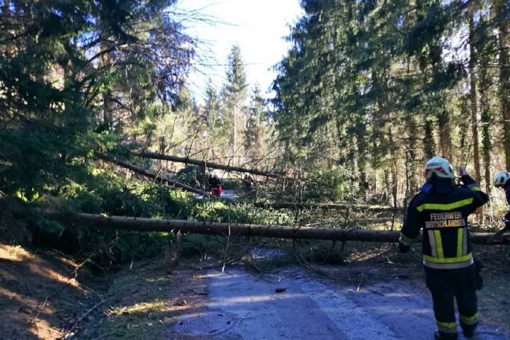 BFV Deutschlandsberg: 2. UPDATE Sturmtief Sabine