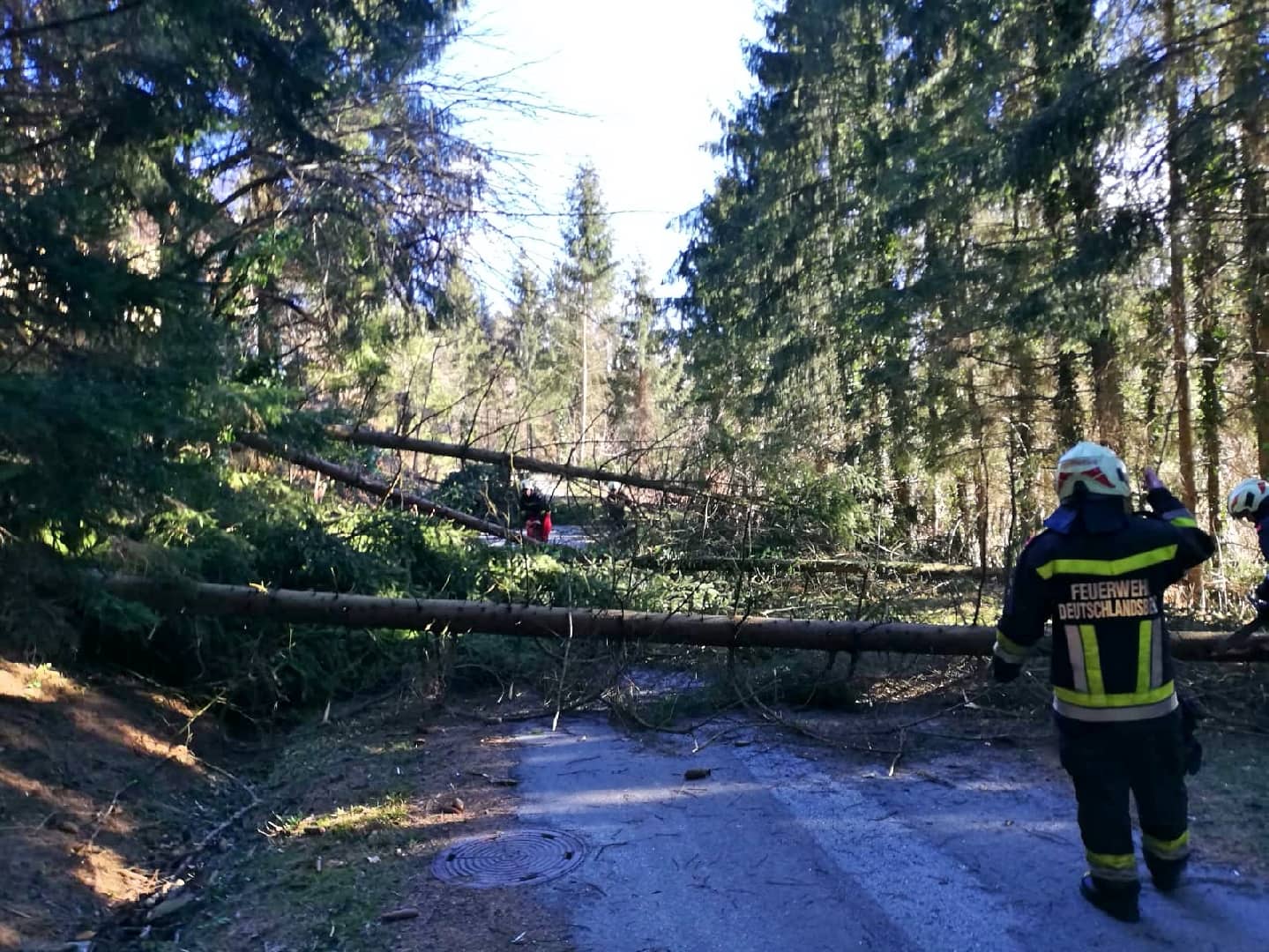 BFV Deutschlandsberg: 2. UPDATE Sturmtief Sabine
