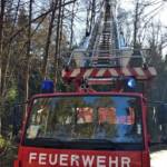 Sturmtief Sabine sorgt für Reihe von Feuerwehreinsätzen