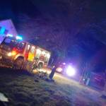 Katze schlug vor Rauchmelder Alarm -  Besitzerin das Leben gerettet
